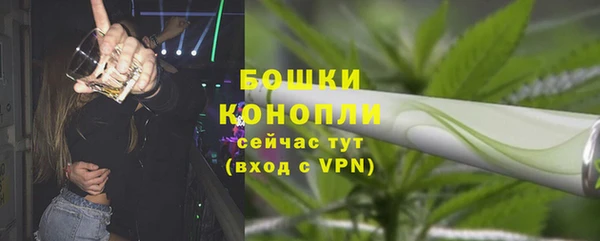метадон Вяземский