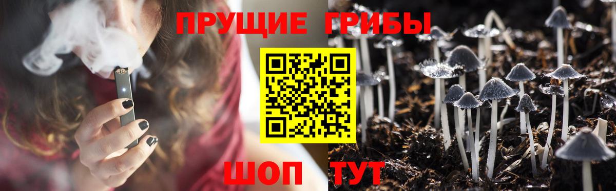 Галлюциногенные грибы Psilocybe  Вход с VPN  Всеволожск 